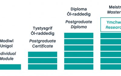 4052_AberUni_AMP_Module_Graphic_Feb20_V3_FIN.indd