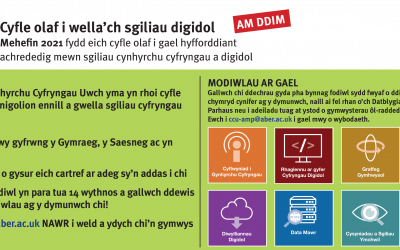 Welsh Landscape Advert